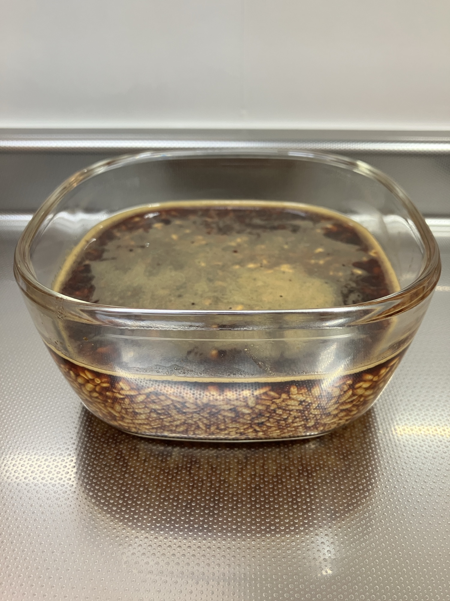 醤油麹の仕込み直後(1日目)。米こうじに醤油を注いだばかりの状態で、醤油が上澄みに浮いている